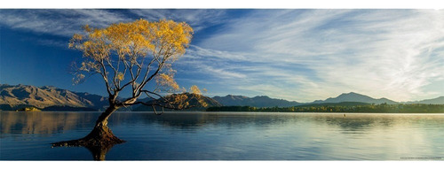 Quebra-cabeças Lake Wanaka A. Von Humboldt Edition 1000 Hye