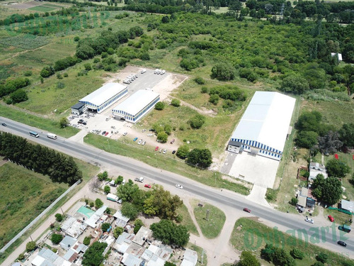 Imagen 11 de 13 de Alquiler De Depósito En Ruta 25 - Zona Comercial, Moreno.