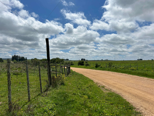 Venta 6 Hectareas Cañada Bellaca, Maldonado