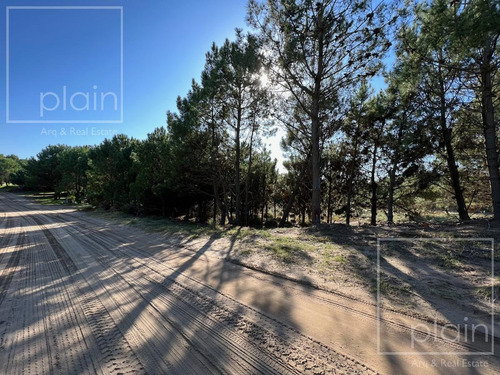 Imagen 2 de 4 de Lote Arbolado En Venta Costa Esmeralda Residencial 1