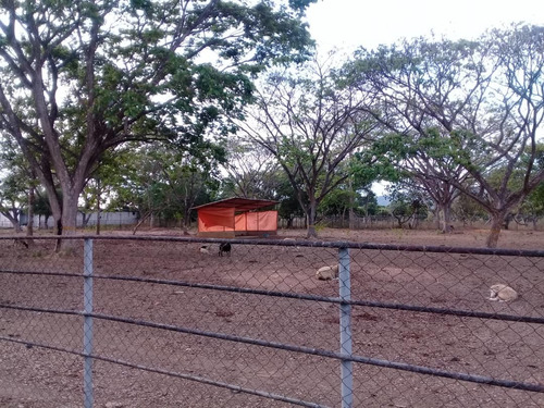 Imagen 12 de 14 de Finca En Tinaquillo . Edo Cojedes Glira