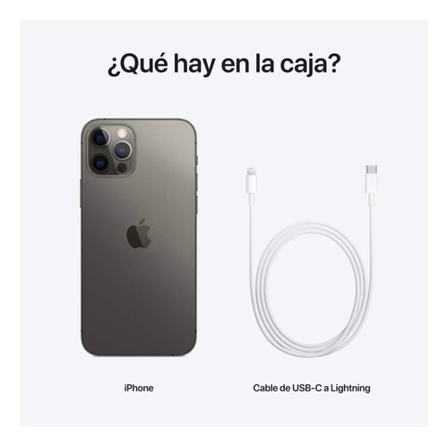 Apple iPhone 12 Pro Max (256 Gb) - Grafito (Usado)