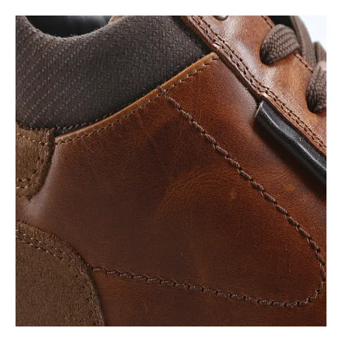 Zapatilla Urbana Cardinale Zapatillas Cuero Haarlem-0-57 Bra