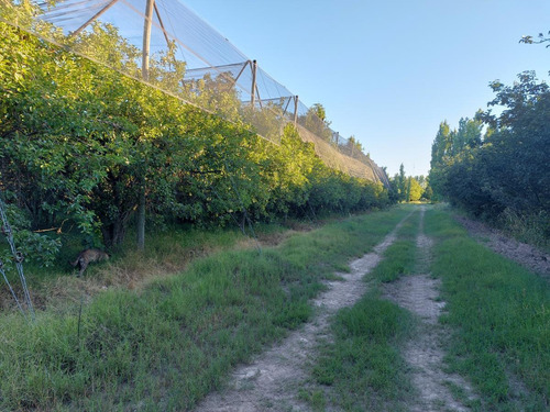 Imagen 7 de 13 de Finca - El Cerrito (la Nora)