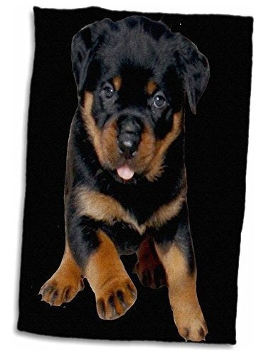 Retrato 3d Rose Rottweiler Un Lindo Cachorro Corriendo Ha