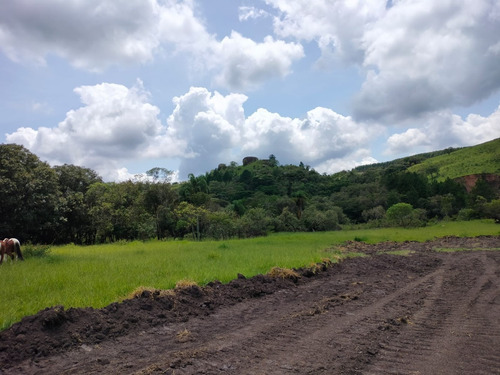 Imagem 19 de 22 de J.v Lotes De 1000 Metros Por 40 Mil À Vista Em Votorantim