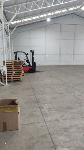 Bodega En Arriendo En Concepción