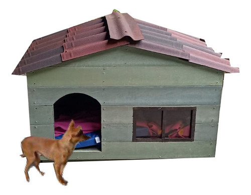 Casa Para Perros Pequeños (1m2) Personalizadas - No Se Pudre