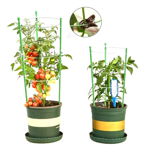 2 Paquetes De Plantas Apoyan Jaulas De Tomate De 45 Cm