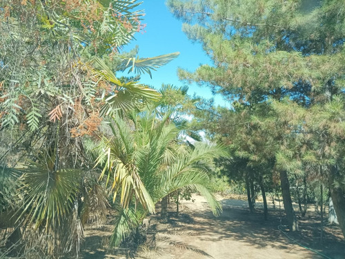 Sector Canelos De Miraflores, 24 Hectáreas