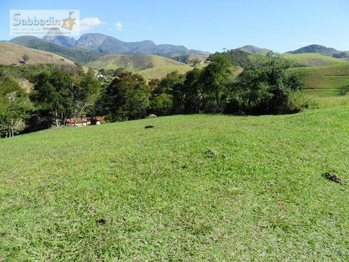 Imagem 12 de 20 de Terreno Residencial À Venda, Pedro Do Rio, Petrópolis. - Te0025