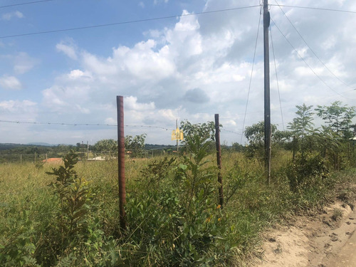 Imagem 5 de 7 de Chácara No Mounjoulinhos -esmeraldas - Te00231 - 34300432