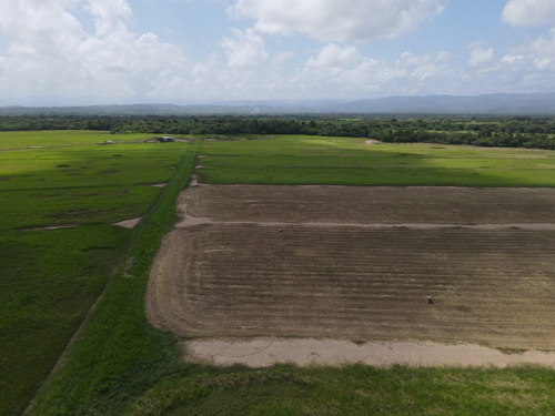 Imagen 28 de 30 de Finca En Venta Aguadagrande, Siquisique Cod. 23-7859