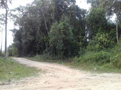 Imagem 2 de 2 de Terreno - Venda - Coronel - Itanhaem - Ita2113