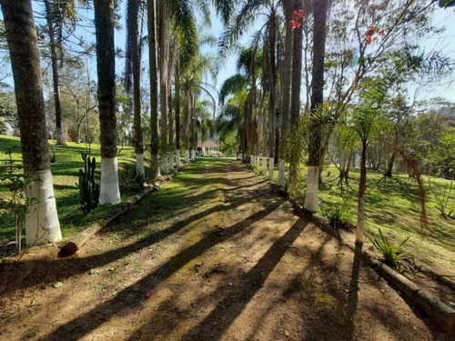 Imagem 27 de 30 de Linda Chácara Rica Em Água, Com Lago, Riacho E Nascente Própria. Propriedade Registrada. - 91 - 69900519