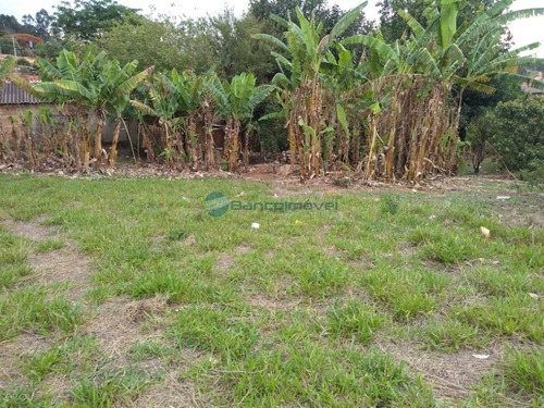 Imagem 3 de 20 de Chacara - Ch00131 - 69207544