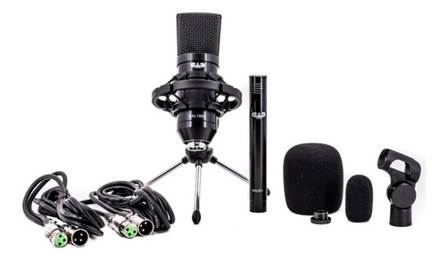 Set 2 Micrófonos Cad Condenser Gxl1800 Sp Grabacion/vivo Xlr