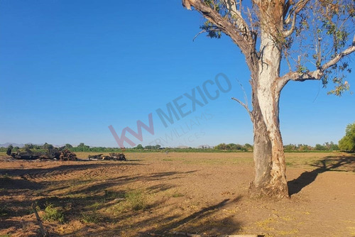 Terreno En Venta En Colonia Severo Moreno Atención Agricultores E Inversionistas ¡gran ...