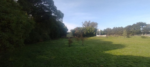 Quinta En Venta En Mar Del Plata