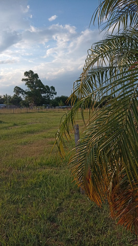 Vendo Excepcional Terreno De Grandes Dimensiones En Esquina Corrientes!!!!