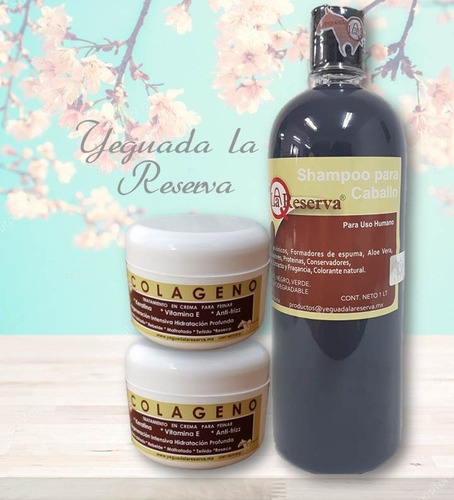 Kit 1 Shampoo 2 Colageno De Viaje Yeguada Envio Gratis