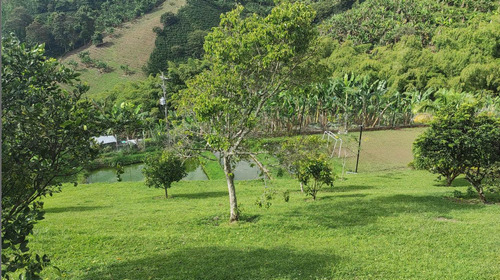 Imagen 20 de 28 de Finca De Alquiler Por Días Altagracia #2 Pereira
