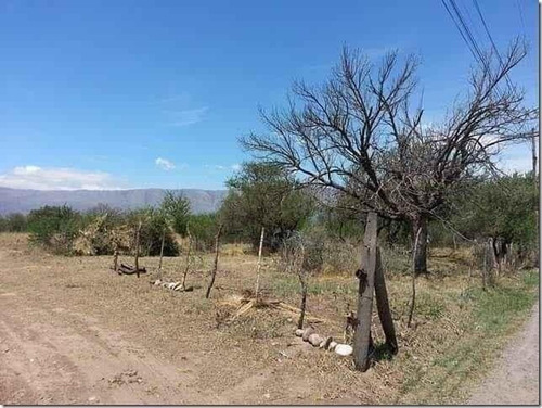Imagen 2 de 12 de Lote De Una Hectárea Y Media En Nono