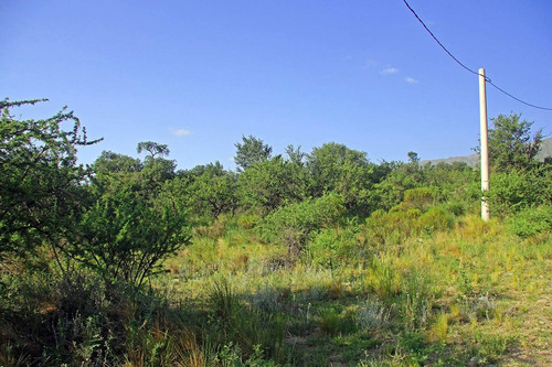 Imagen 12 de 14 de Venta De Lotes En Carpinteria El Mollar De La Cañada