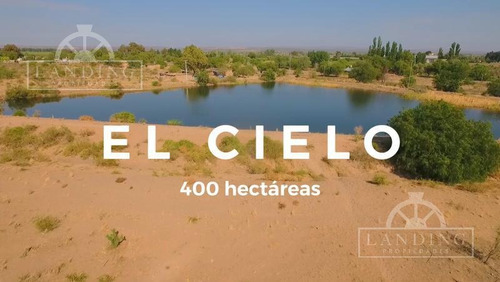 Imagen 1 de 6 de Campo En Venta - Finca Productiva En Mendoza