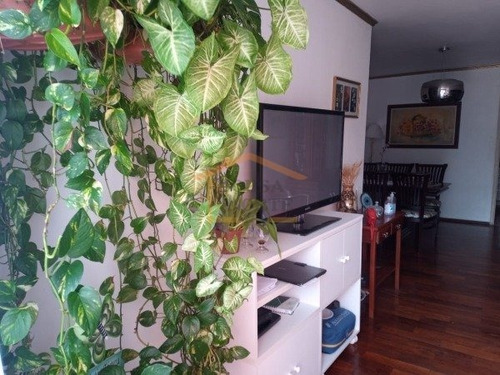 Imagem 5 de 15 de Apartamento, Venda, Casa Verde, Sao Paulo - 25083 - V-25083