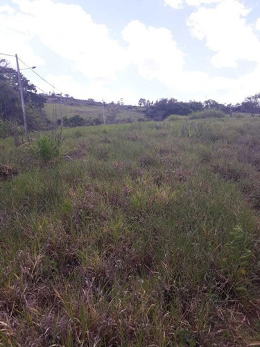 Imagem 19 de 27 de Sitio Campinas Antes Do Pedagio De Jaquariuna 46 Hectares - 42655