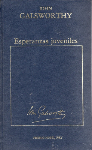 Esperanzas Juveniles - John Galsworthy ( Premio Nobel 1932)