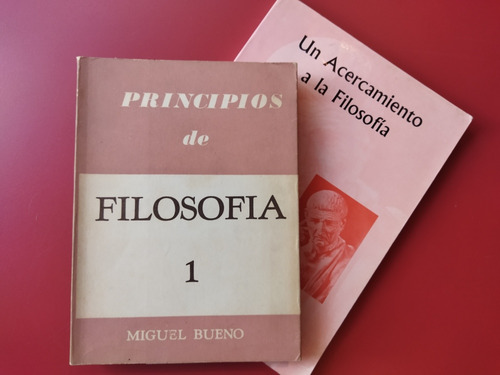 Paquete 2 Libros Principios De Filosofía Miguel Bueno
