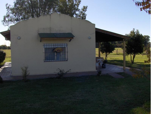 Imagen 9 de 15 de Campo 9ha En Las Flores