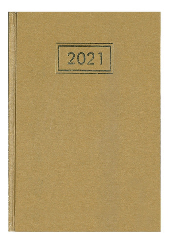 Imagem 1 de 1 de Agenda Kit 2021 Executiva Aço Escovado Cd 168f