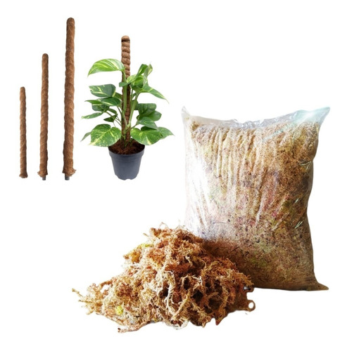 Musgo Sphagnum Sustrato Para Tutores (5 Kilos)