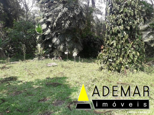 Exelente Propriedade Pra Venda - 980