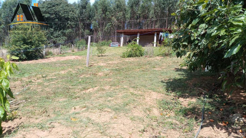 Imagem 5 de 8 de Chácara Para Venda Em Pedra Bela, Zona Rural, 2 Dormitórios, 1 Banheiro - 133_1-2409599