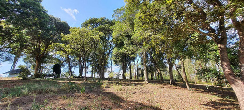 Imagem 4 de 14 de Atibaia - Lotes C/ 255m² Planos C/escritura Aceita Carro.