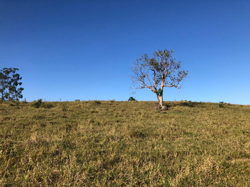 Imagem 8 de 14 de D31 - Aceitamos Seu Veículo Na Troca Do Nosso Terreno.