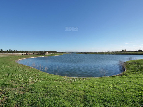 Terreno Lote En Venta En Carpinchos, Nordelta, Tigre