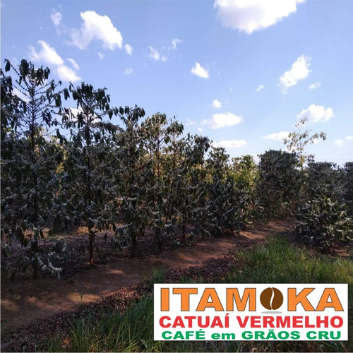 Café Para Torrar E Moer 27kg Tradicional Blend Coffee Brazil