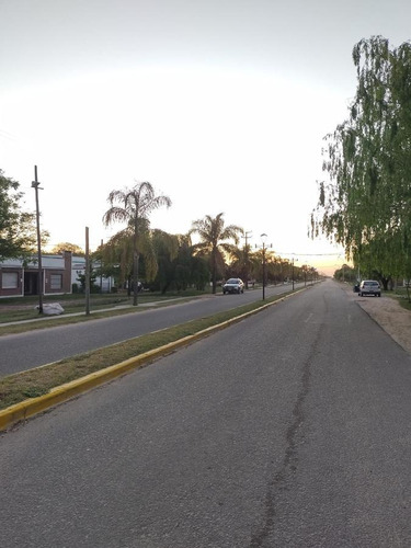 Imagen 3 de 5 de Galpón En Enrique Carbó