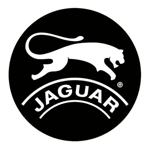 Imagen 4 de 7 de Zapatillas Jaguar Urbana Unisex 711 Cordones Lona 35 Al 40