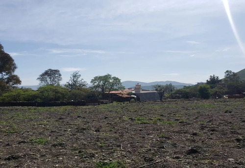 Terreno En Venta En Pie De Gallo