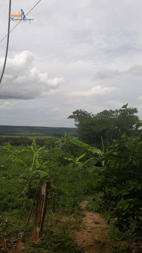Chácara Com 3 Dormitórios À Venda, 24200 M² Por R$ 225.000,00 - Gameleira - Gameleira De Goiás/go - Ch0050