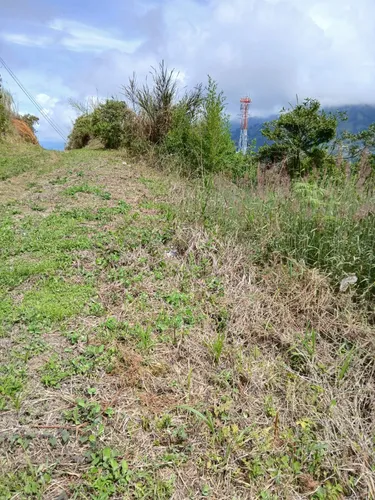 Se Vende Lote En Vereda La Frisola A 2 Km De La Salida Del Tunel Lado Occidente