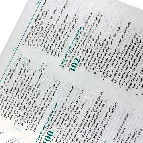 Pregadora, A Bíblia Da Pregadora Feminina Promoção