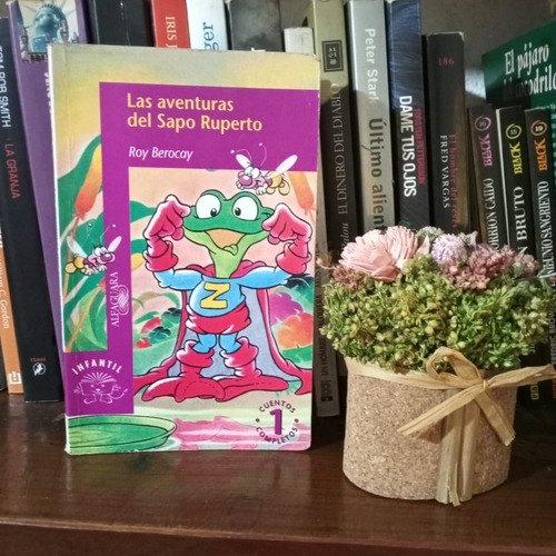 Las Aventuras Del Sapo Ruperto