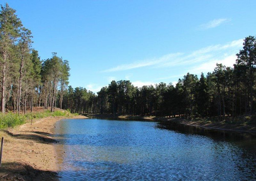 Imagen 22 de 25 de Venta - Lote Con Vista A Laguna Y Bosque En Viilla Robles - Barrio Cerrado
